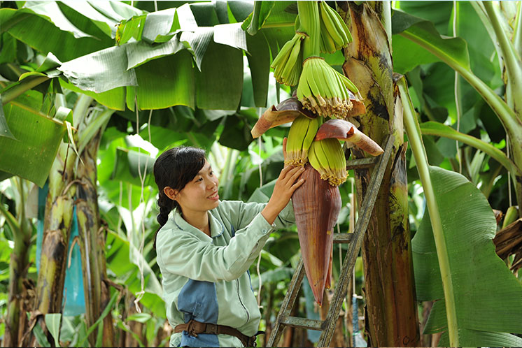 Lập kế hoạch và dự toán chi phí đầu tư